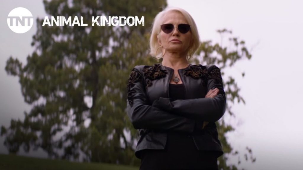 Animal Kingdom Season 5: Production & Plot Details, Release In May 2020?