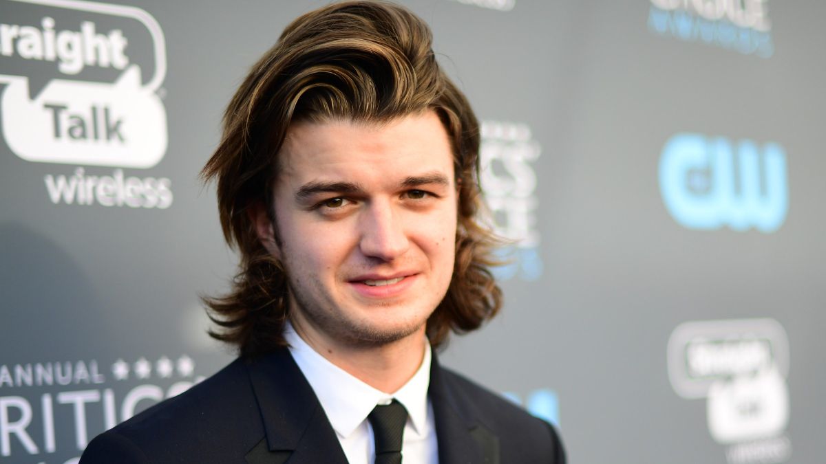 Is joe keery gay